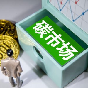 碳市场政策基本原则介绍