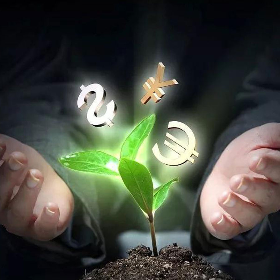 建立碳资产管理体系